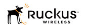 Ruckus Wireless Türkiye Genel Distribütörü